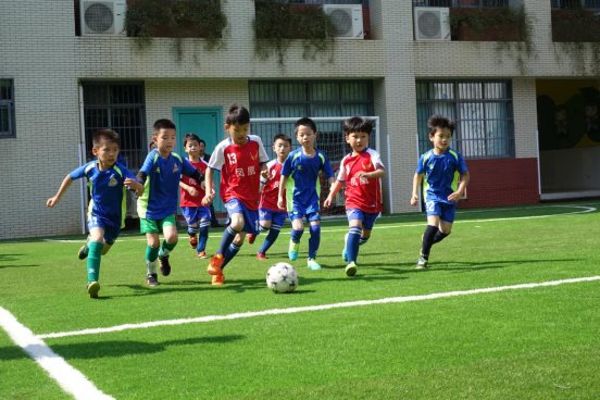 DSC02239