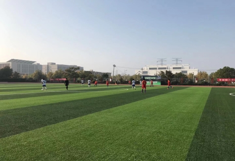 图片包含 草, 天空, 户外, 田野

描述已自动生成