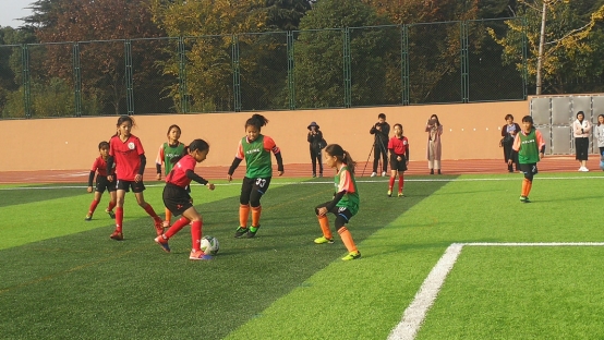 IMG_20191109_090239.jpg
