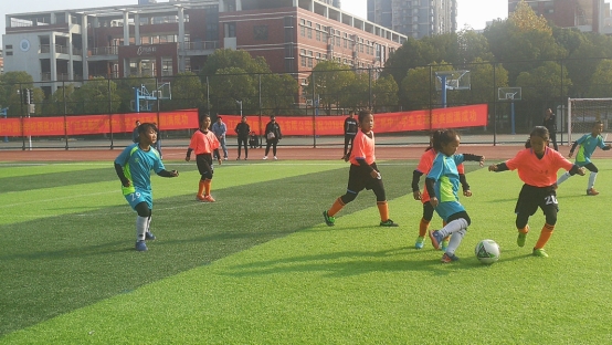 IMG_20191110_091639_1.jpg