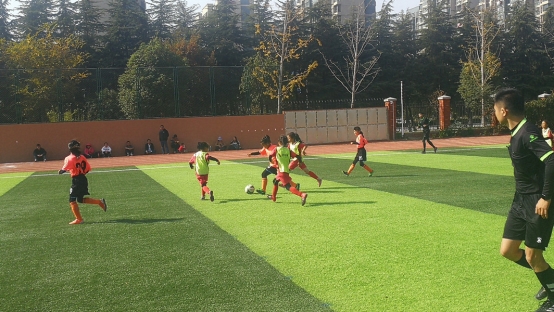 IMG_20191110_130229.jpg