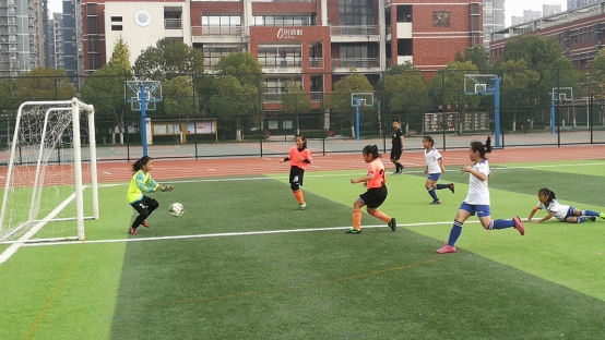 IMG_20191116_142227.jpg
