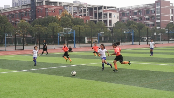 IMG_20191116_142555.jpg