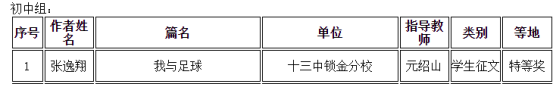 张逸翔特等奖