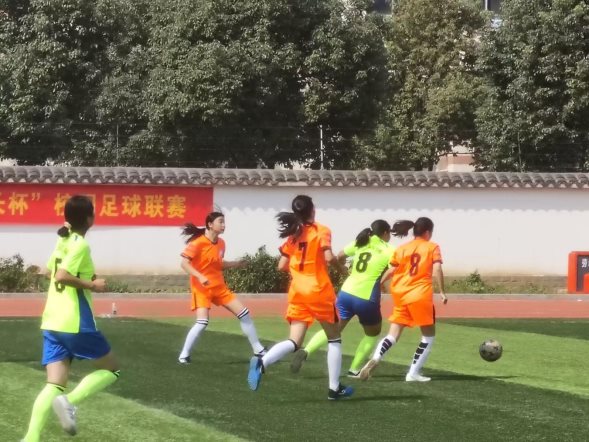 QQ图片20231017141255