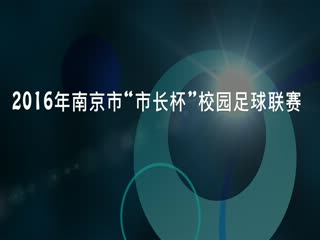 2016南京市“市长杯”足球联赛（定稿）